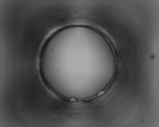 X0000102821416200809081121