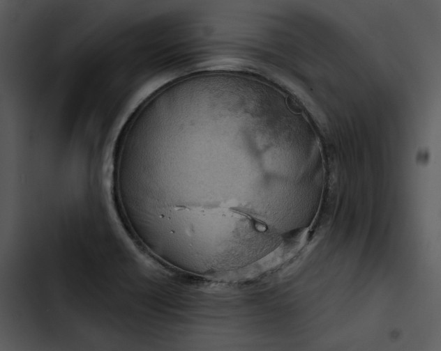 X0000102821418200809081121