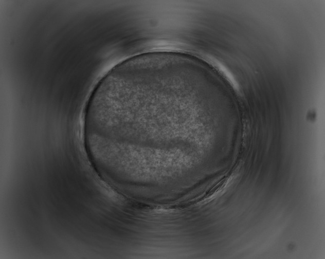 X0000102821419200809081121