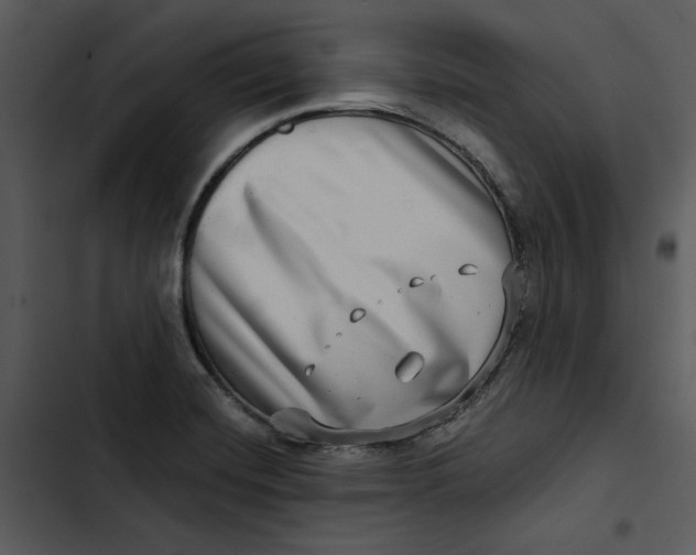 X0000102821420200809081121