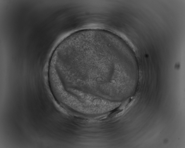 X0000102821421200809081121