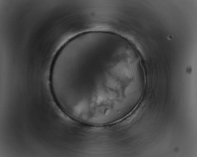 X0000102821422200809081121