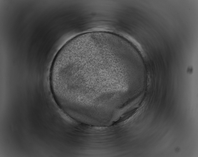 X0000102821423200809081121