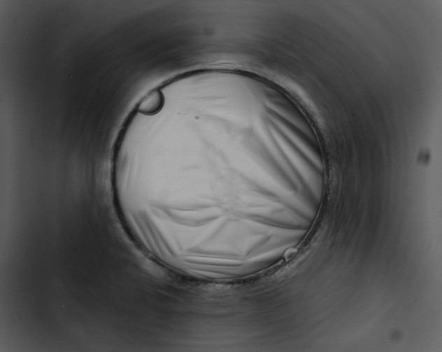 X0000102821424200809081121