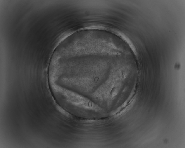 X0000102821425200809081121