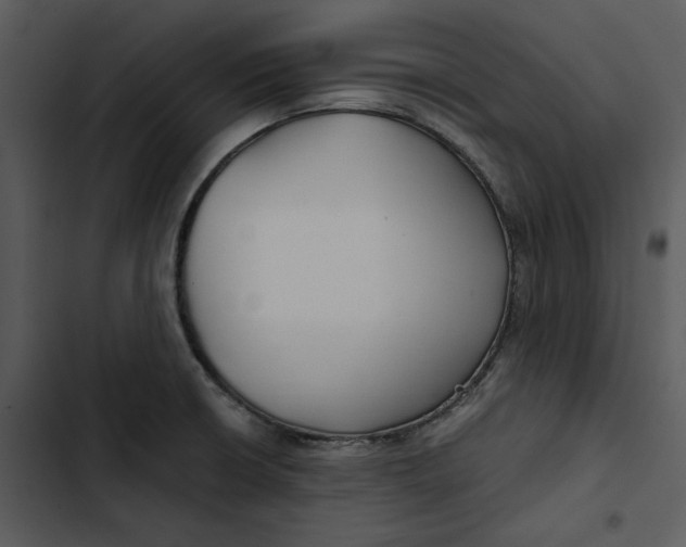 X0000102821426200809081121