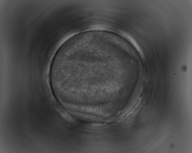 X0000102821427200809081121