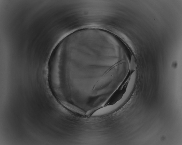 X0000102821428200809081121