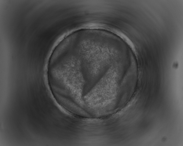 X0000102821429200809081121