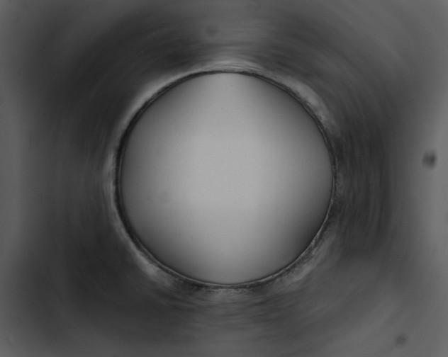 X0000102821430200809081121