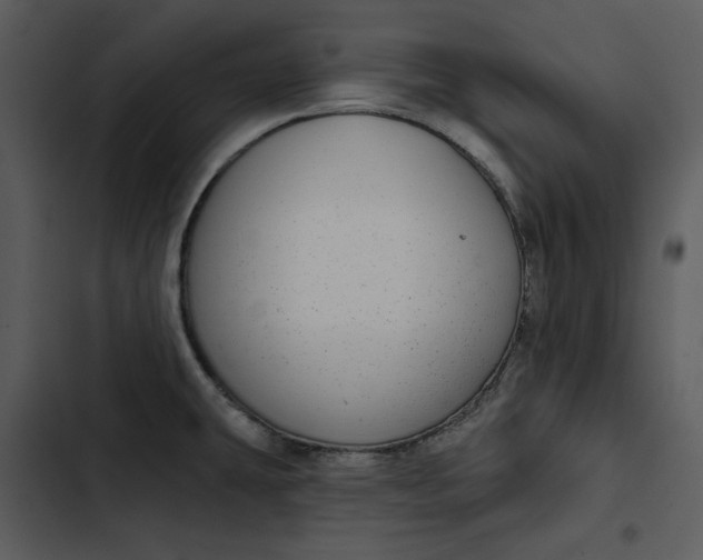 X0000102821431200809081121