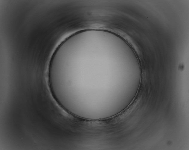 X0000102821432200809081121