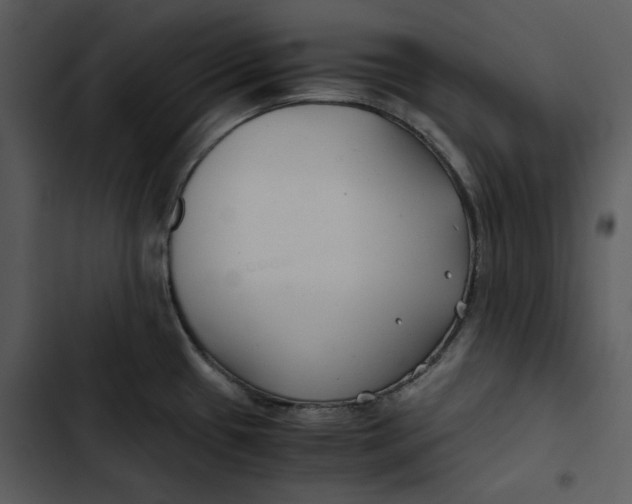 X0000102821433200809081121