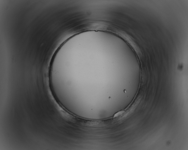 X0000102821434200809081121