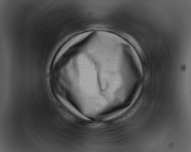 X0000102821435200809081121