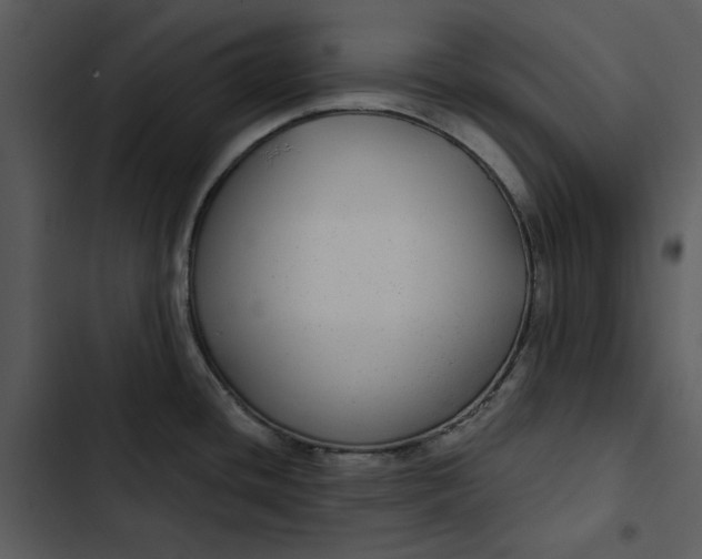 X0000102821436200809081121