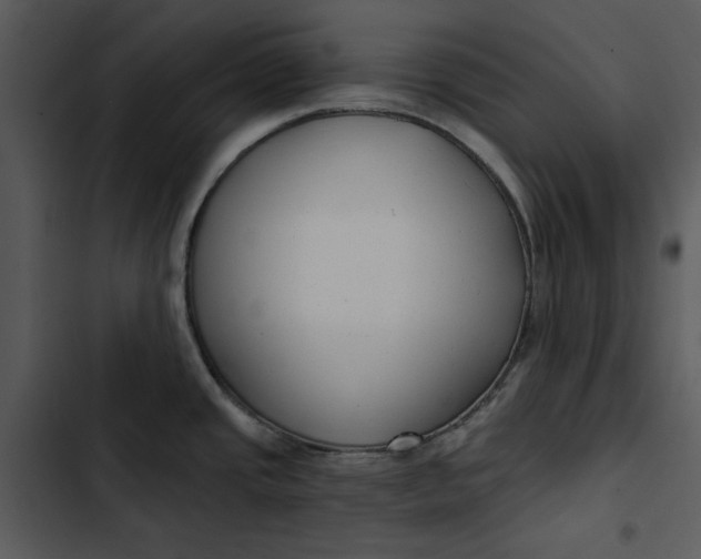 X0000102821437200809081121