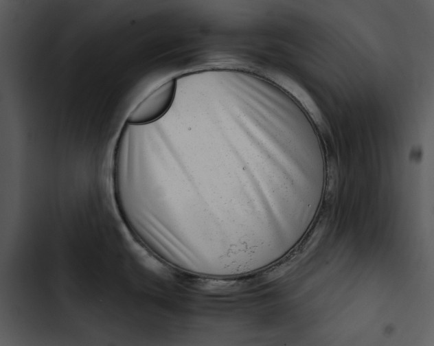 X0000102821439200809081121