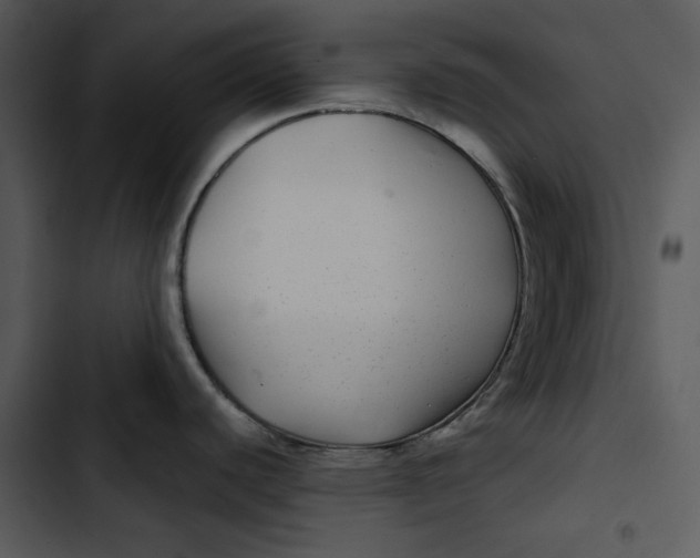 X0000102821440200809081121