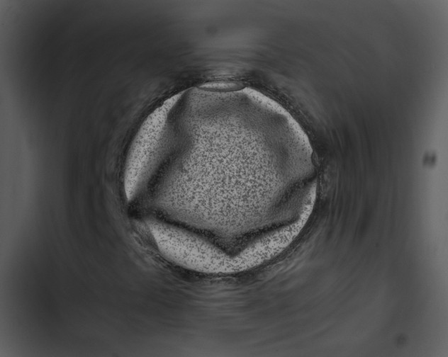 X0000102821441200809081120