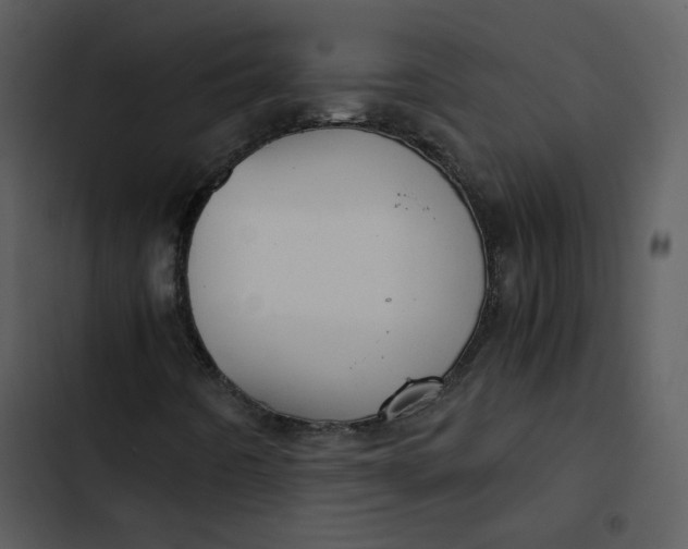 X0000102821442200809081120