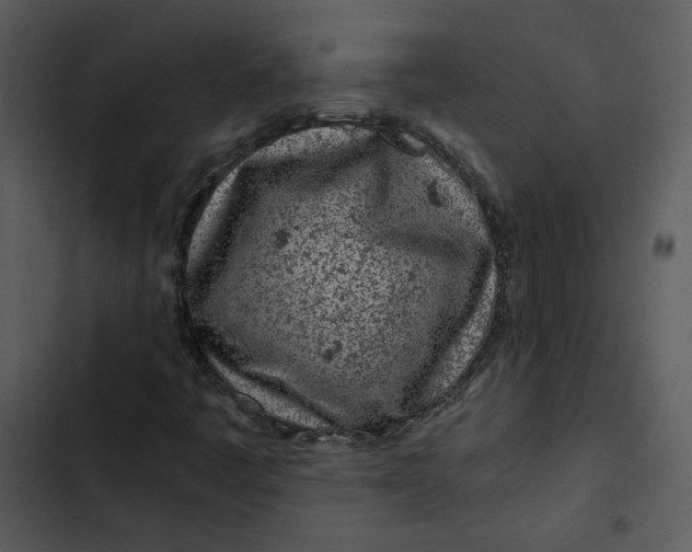 X0000102821445200809081120