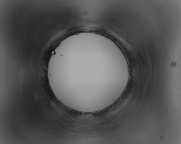 X0000102821447200809081120