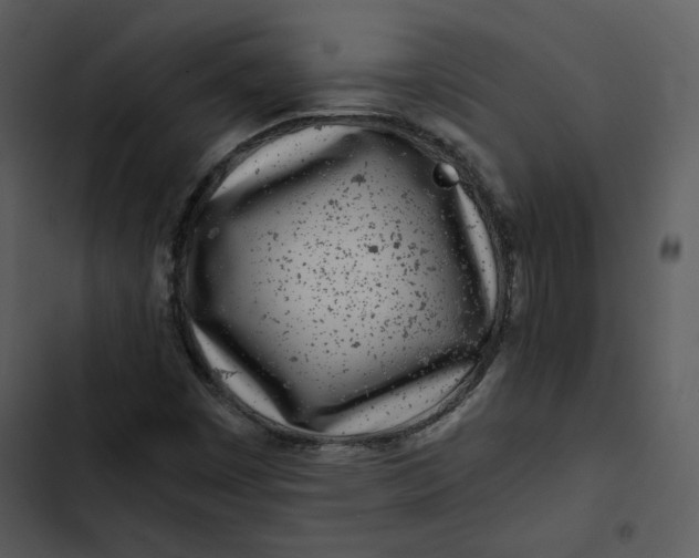 X0000102821449200809081120