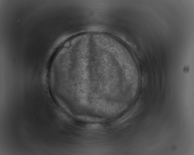 X0000102821454200809081120