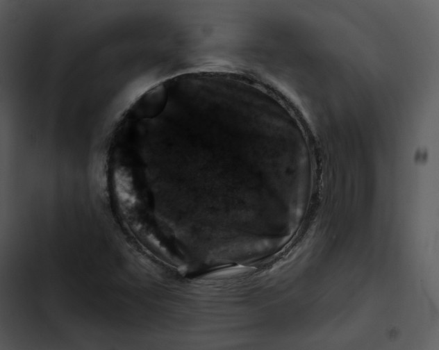 X0000102821455200809081120