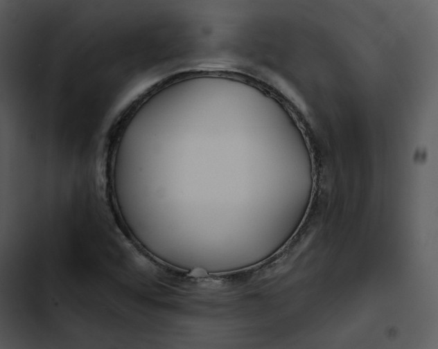 X0000102821456200809081120
