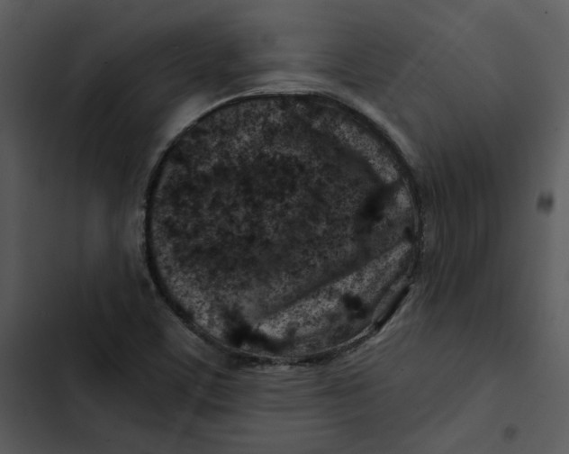 X0000102821459200809081120