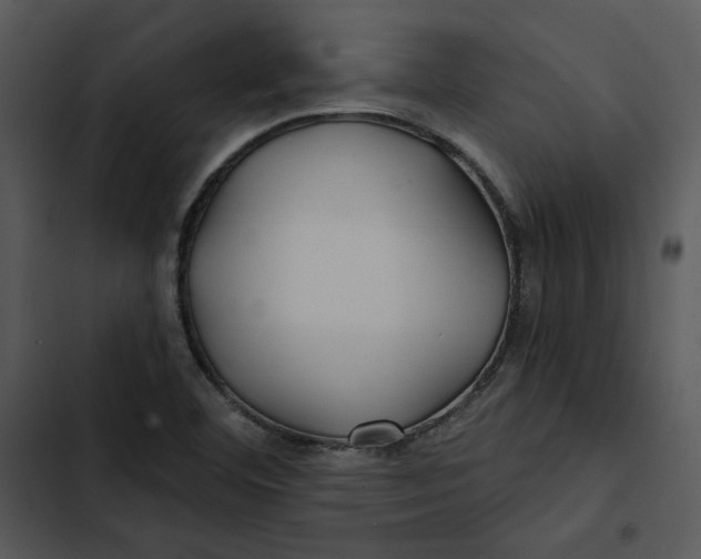 X0000102821460200809081120