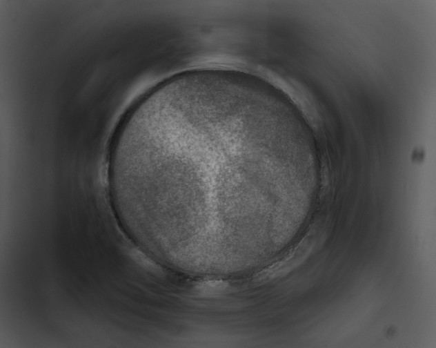 X0000102821462200809081120