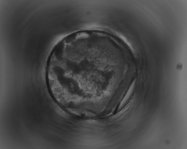 X0000102821463200809081120