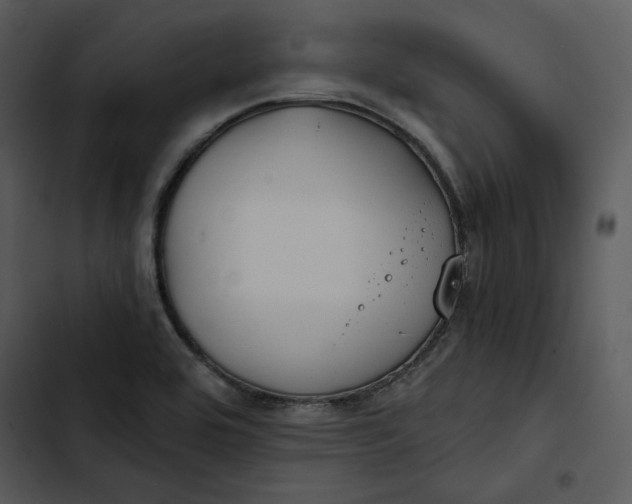 X0000102821464200809081120