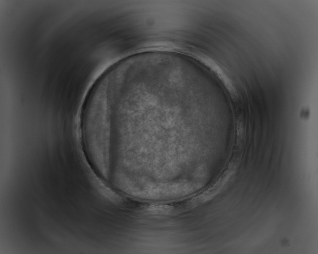 X0000102821466200809081120