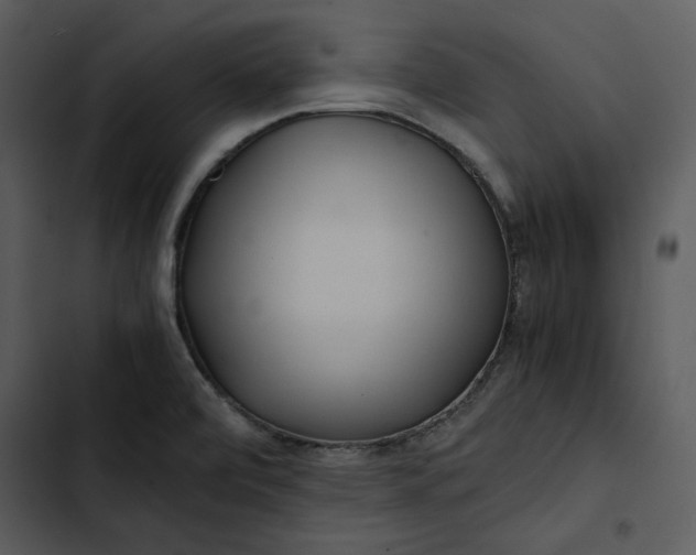 X0000102821472200809081120