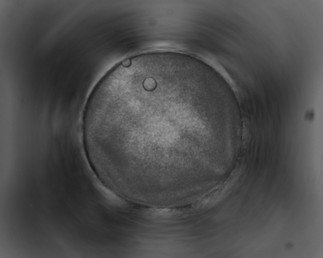 X0000102821474200809081120
