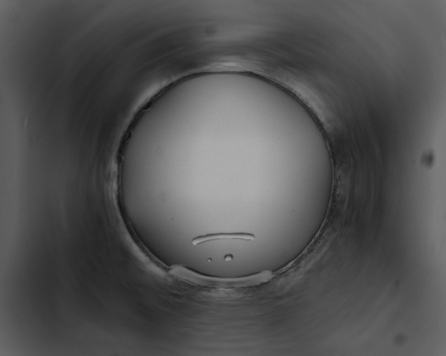 X0000102821476200809081120