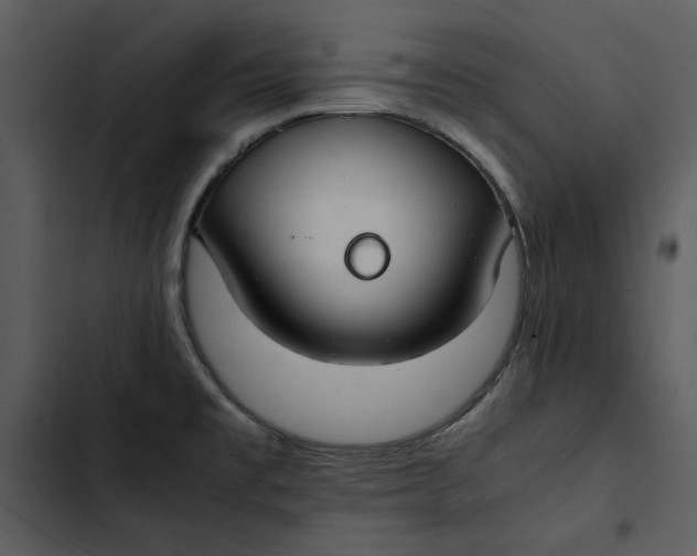 X0000102821477200809081120