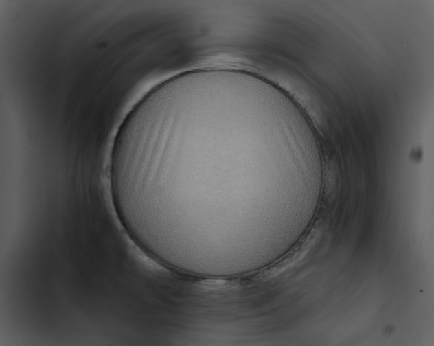 X0000102821478200809081120