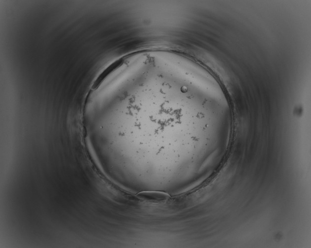 X0000102821481200809081120