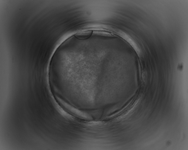 X0000102821482200809081120
