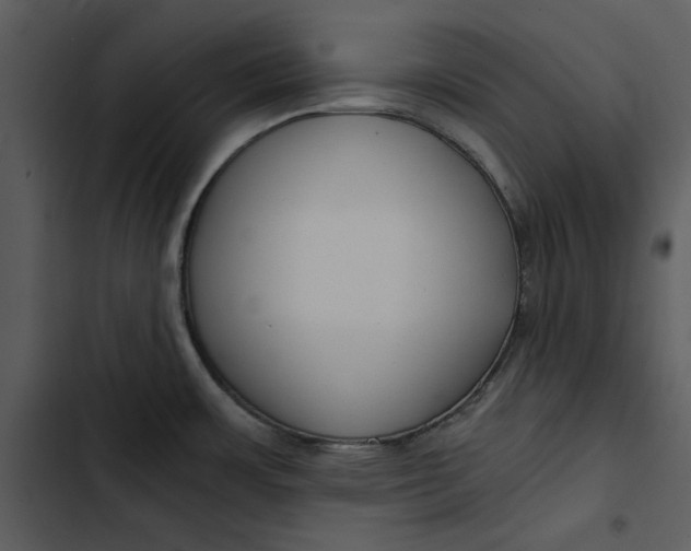X0000102821483200809081120