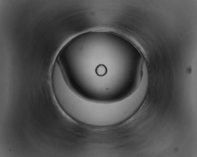 X0000102821484200809081120