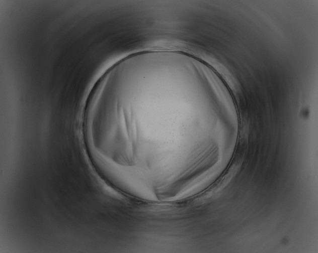 X0000102821486200809081120
