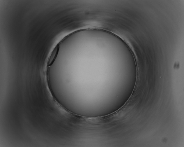 X0000102821488200809081120