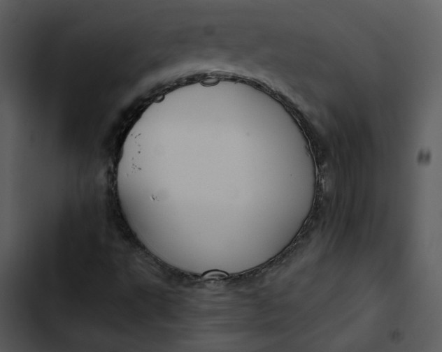 X0000102821495200809081119
