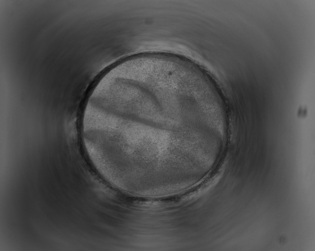 X0000102821497200809081119